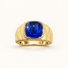 [Correnva V2 main] Midnight Signet Ring. AI-assisted presentation image based on a supplier reference; not exact-item, material, stone identity, scale, size, or inventory proof.